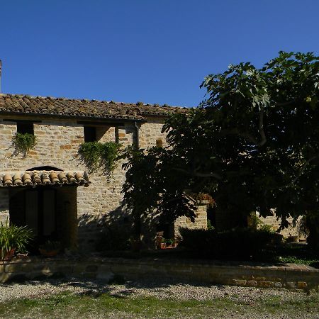 Azienda Agrituristica Colle San Giorgio Castiglione Messer Raimondo Dış mekan fotoğraf