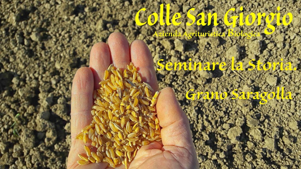 Azienda Agrituristica Colle San Giorgio Castiglione Messer Raimondo Dış mekan fotoğraf